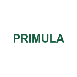 PRIMULA