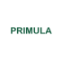 PRIMULA (5)